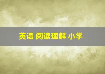 英语 阅读理解 小学